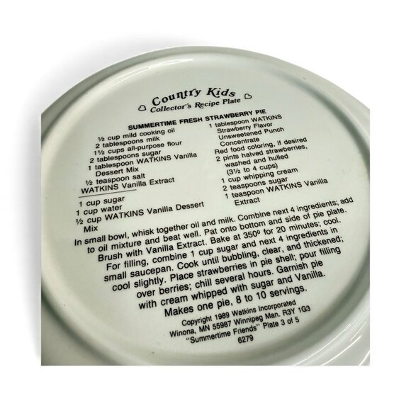 Vintage Watkins Country Kids "Summertime Friends" Collector Recipe Plate, 1989 - Picture 5 of 8